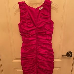 Calvin Klein Fuscia Ruched Bubble Dress Size 2